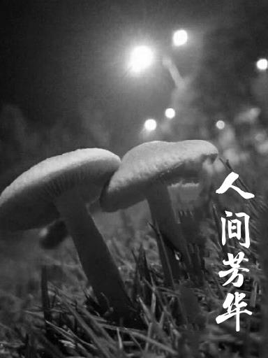 人间芳菲四月天完整版短剧